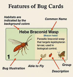 bugcard